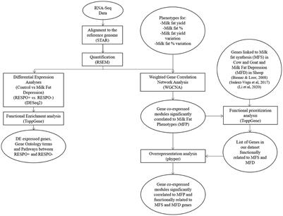 Elucidating genes and gene networks linked to individual susceptibility to milk fat depression in dairy goats